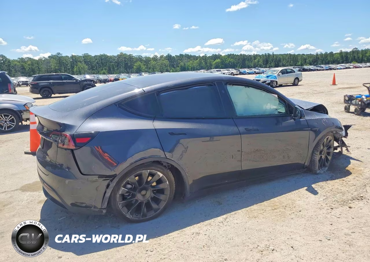 2025 Tesla Model Y VIN:7SAYGDED7SA372568 - 3