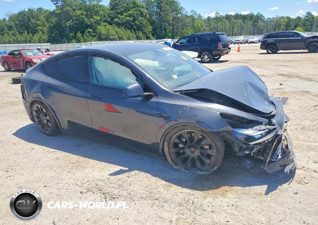 2025 Tesla Model Y VIN:7SAYGDED7SA372568 - 4