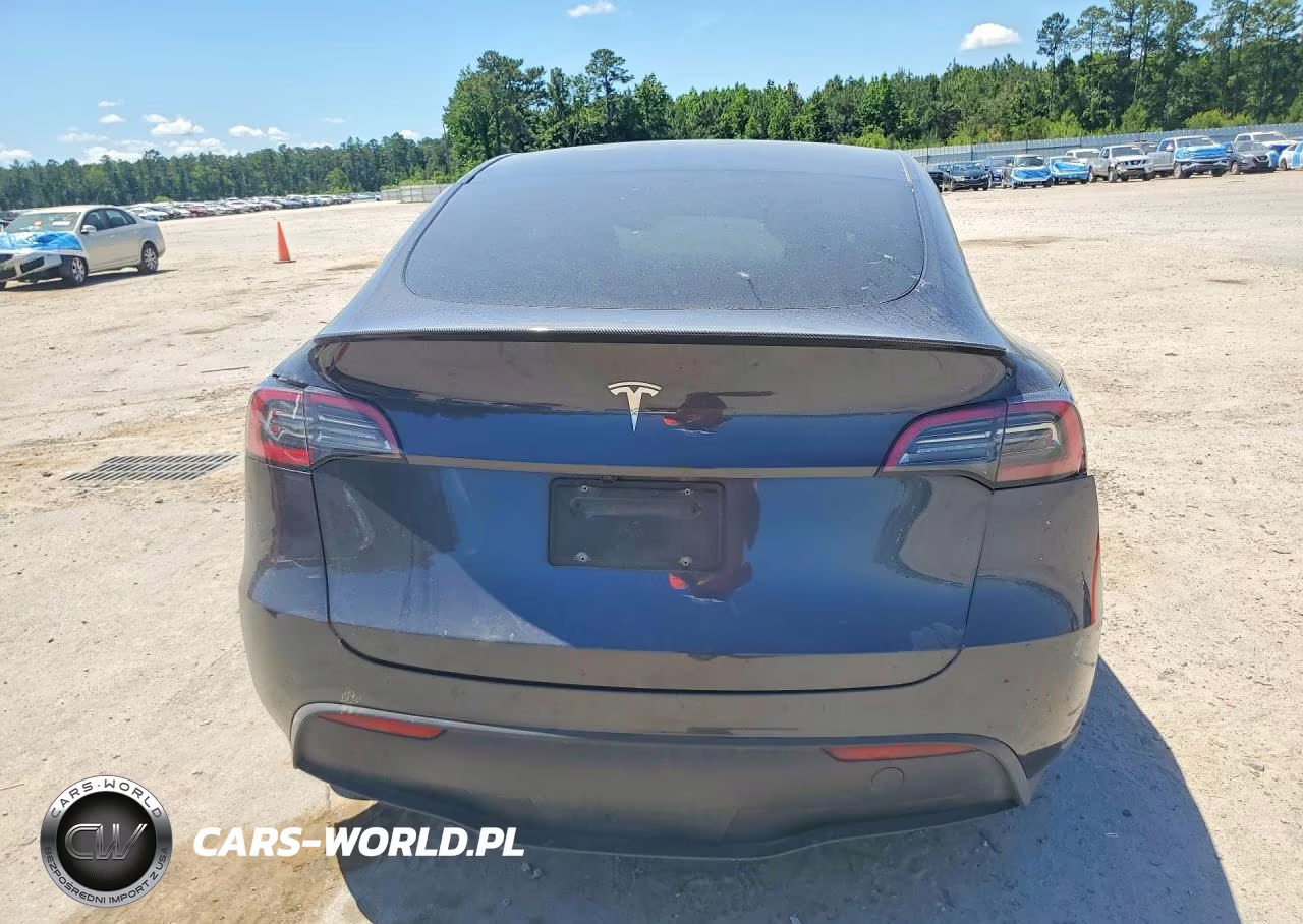 2025 Tesla Model Y VIN:7SAYGDED7SA372568 - 6