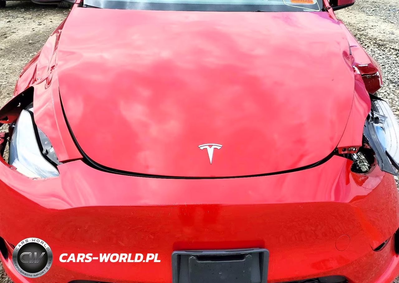 2023 Tesla Model Y VIN:7SAYGDEE2PA078883 - 11