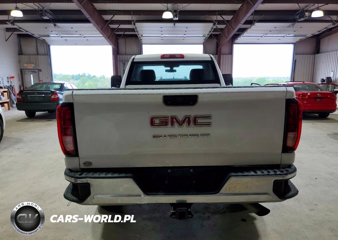 2020 GMC Sierra K2500 Heavy Duty VIN:1GT39LE76LF292717 - 6