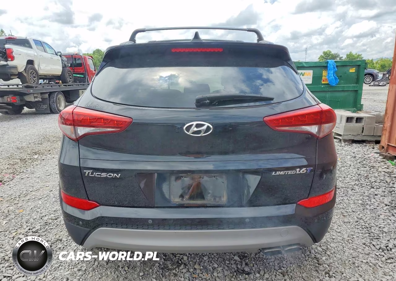 2017 Hyundai Tucson VIN:KM8J33A25HU289700 - 6