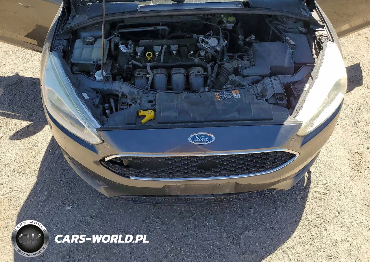 2016 Ford Focus Se VIN:1FADP3F29GL387900 - 11