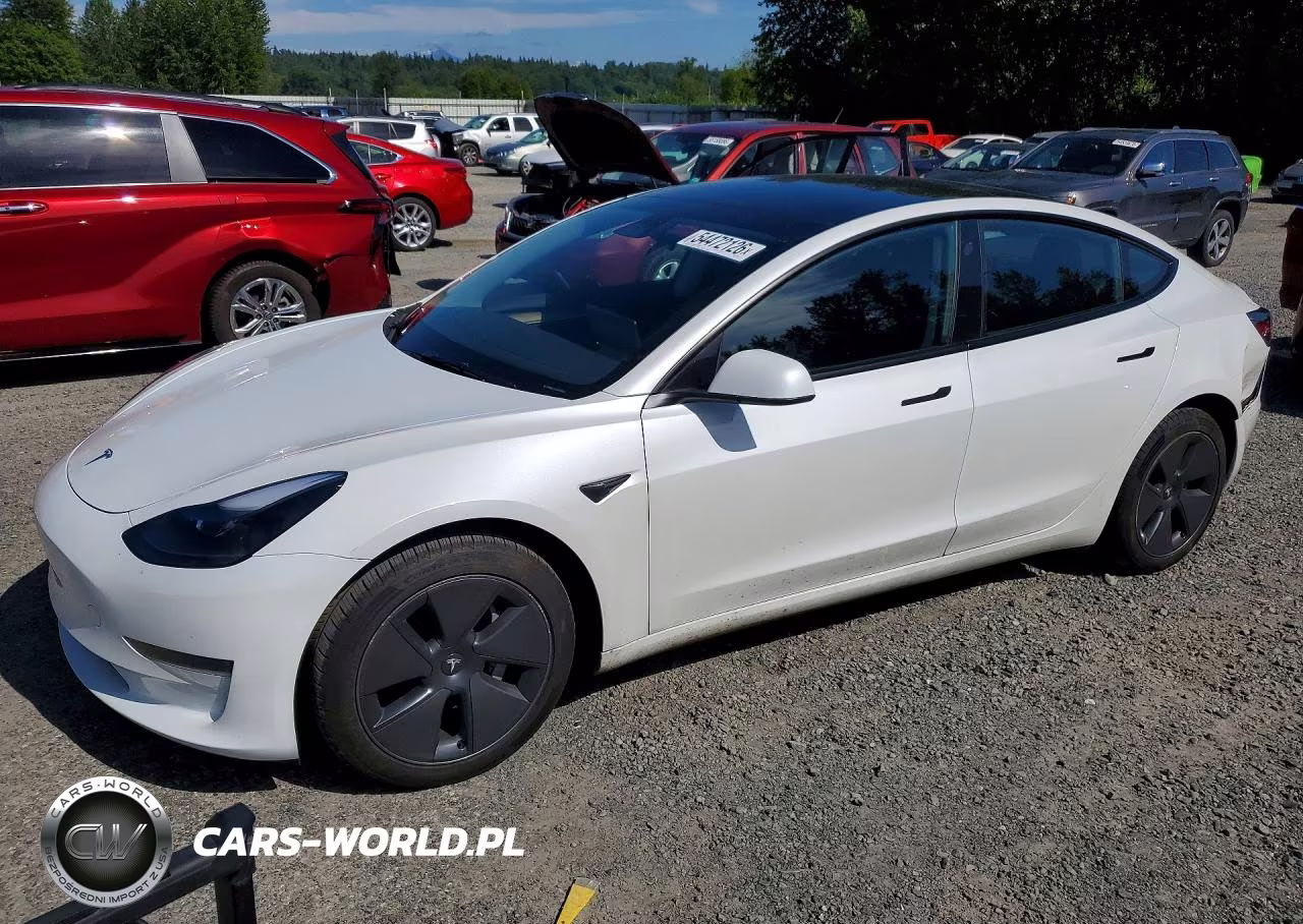 2023 Tesla Model 3