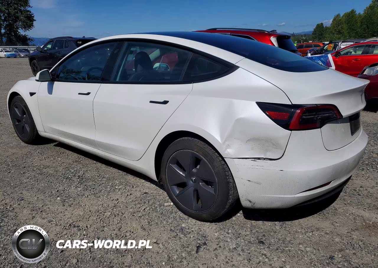 2023 Tesla Model 3 VIN:5YJ3E1EA0PF659584 - 2