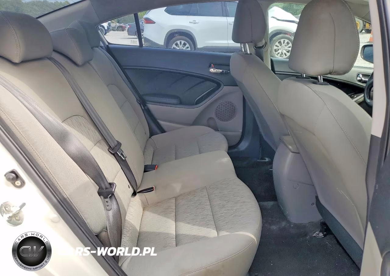 2015 Kia Forte Lx VIN:KNAFK4A63F5312580 - 10