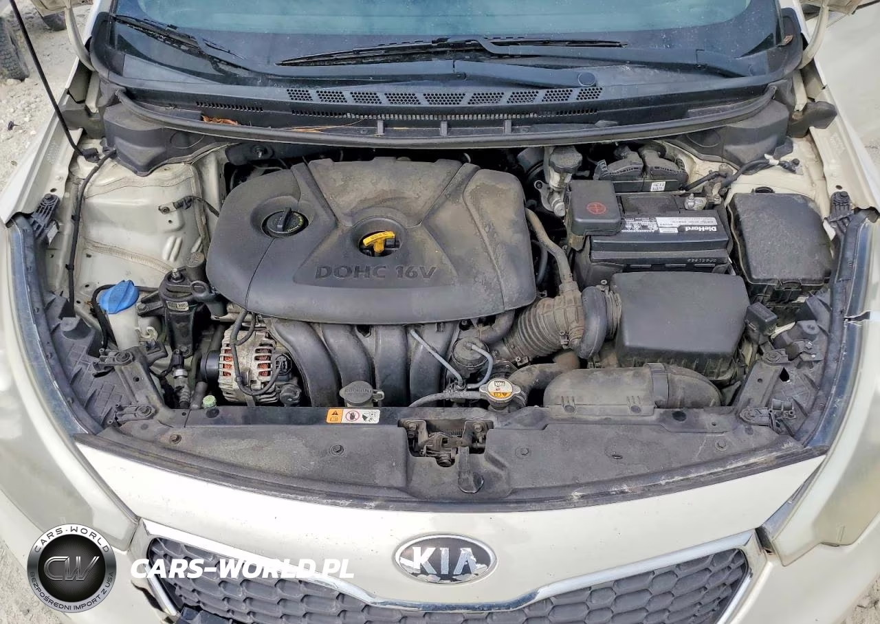 2015 Kia Forte Lx VIN:KNAFK4A63F5312580 - 11