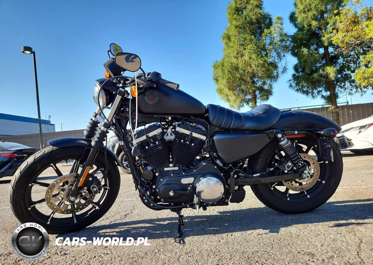 2021 Harley-Davidson Xl883 N VIN:1HD4LE229MB406601 - 3