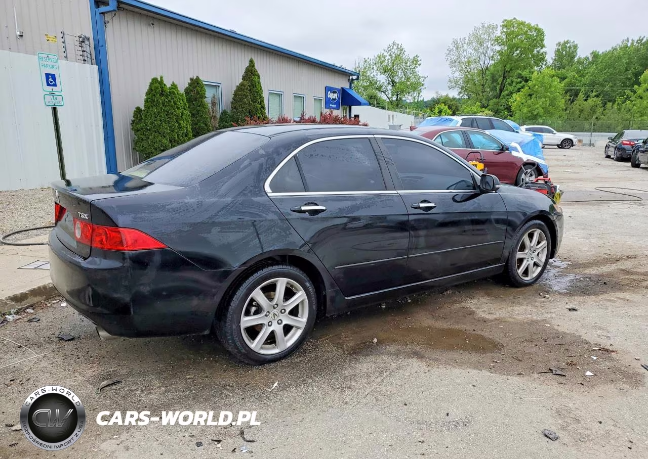 2004 Acura Tsx VIN:JH4CL96854C004506 - 3