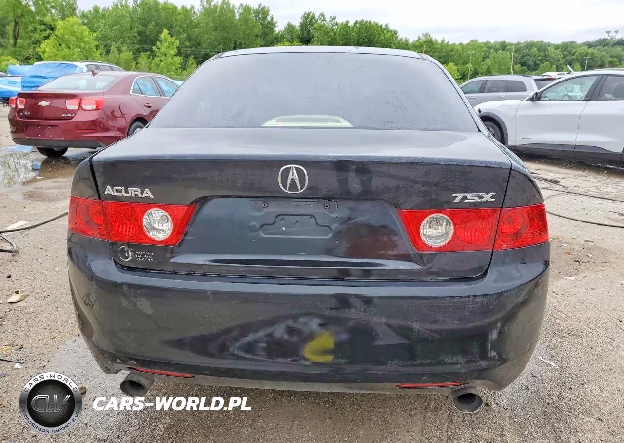 2004 Acura Tsx VIN:JH4CL96854C004506 - 6