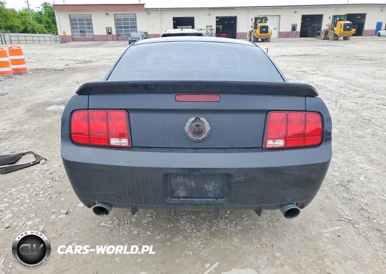 2007 Ford Mustang Gt VIN:1ZVHT82H275203610 - 6