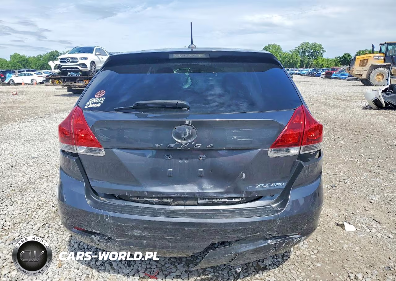 2015 Toyota Venza Xle VIN:4T3BK3BBXFU119312 - 6