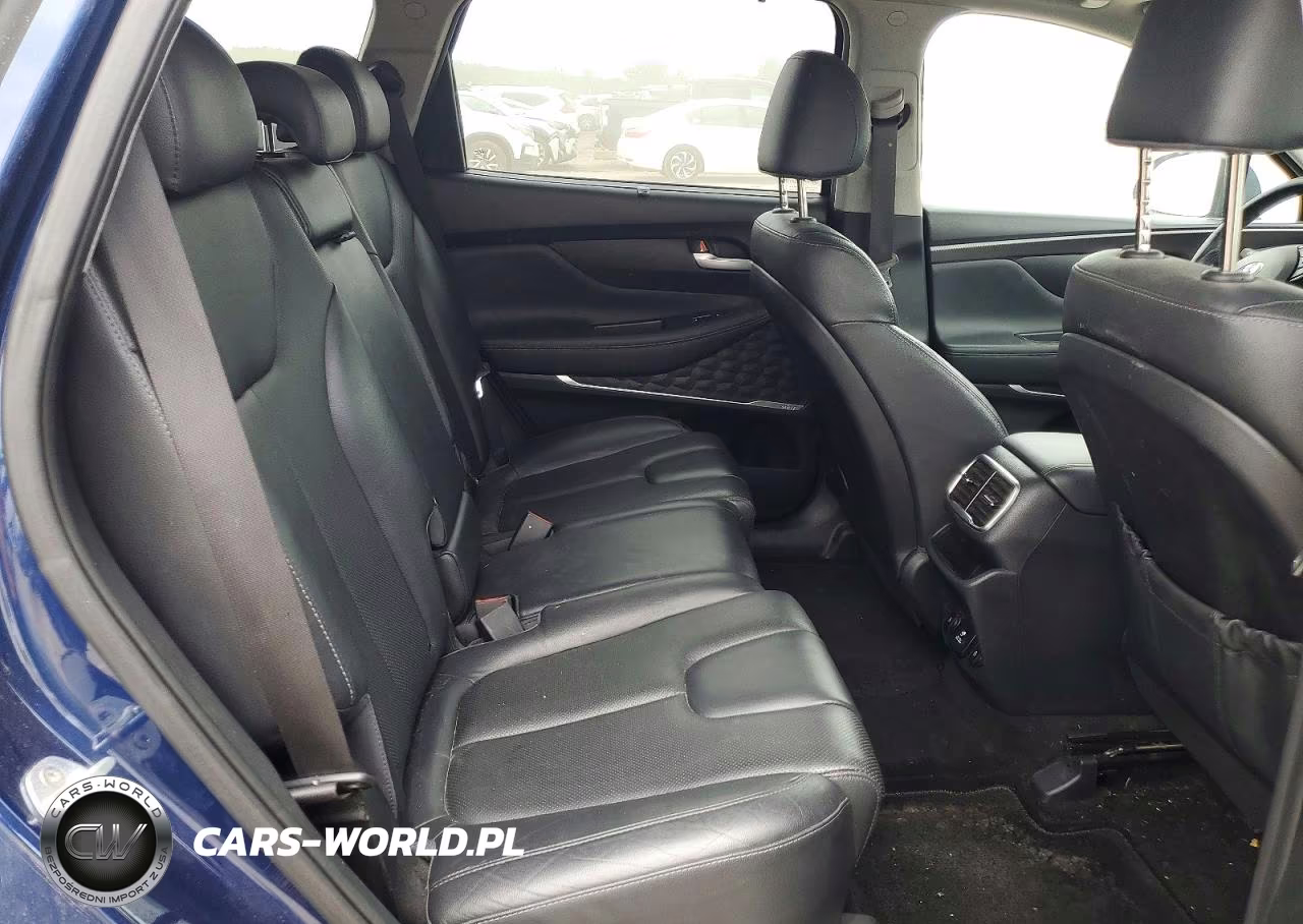 2020 Hyundai Santa Fe Limited 2.0T VIN:5NMS5CAA0LH301164 - 10