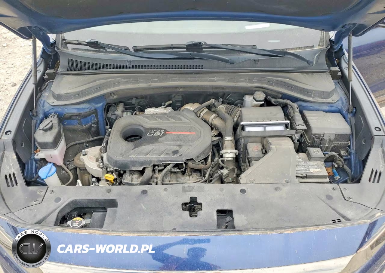 2020 Hyundai Santa Fe Limited 2.0T VIN:5NMS5CAA0LH301164 - 11