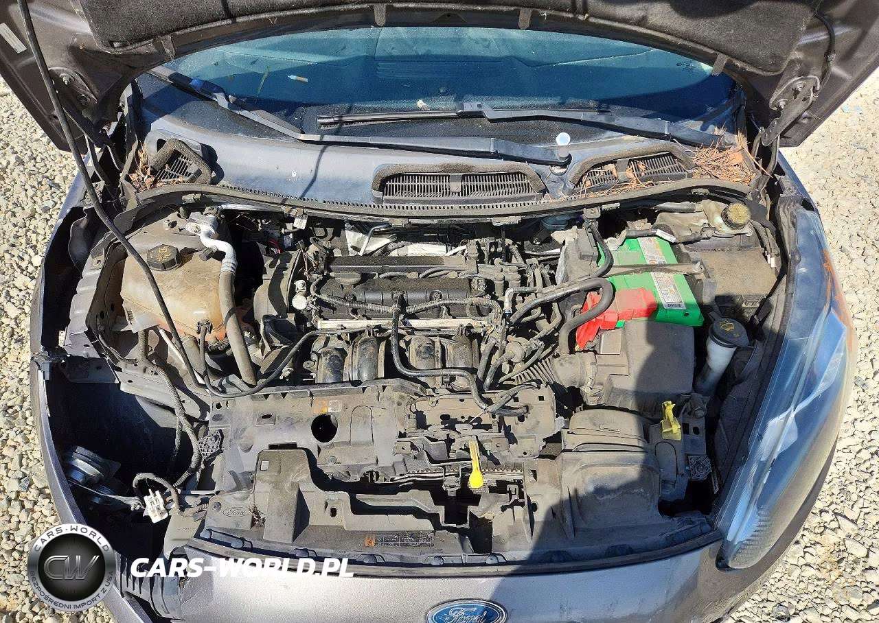 2014 Ford Fiesta Se VIN:3FADP4EJ8EM169313 - 11