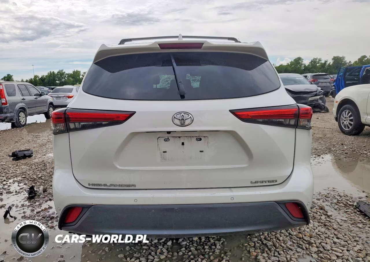 2020 Toyota Highlander Limited VIN:5TDYZRAH9LS023988 - 6