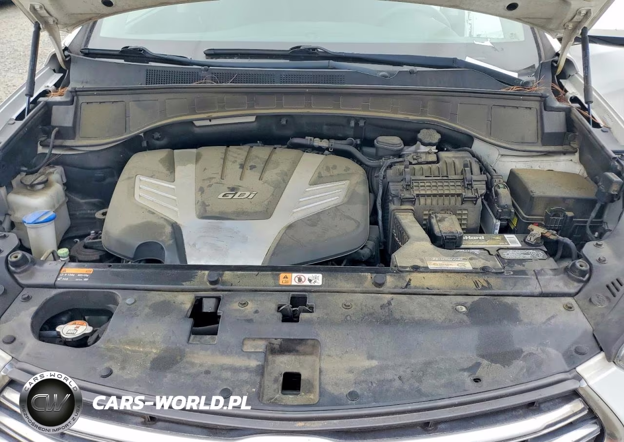 2017 Hyundai Santa Fe Se VIN:KM8SM4HF3HU251964 - 12