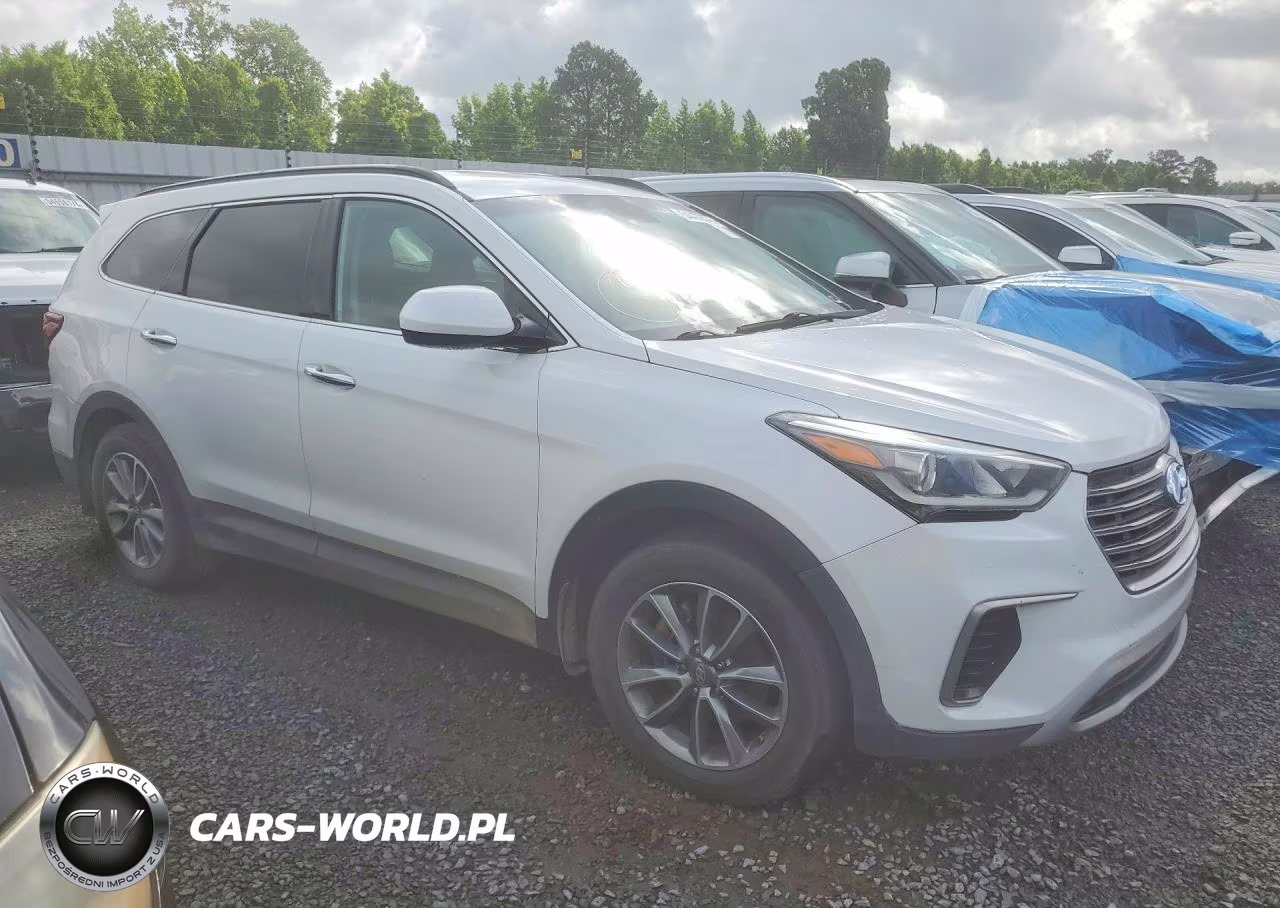 2017 Hyundai Santa Fe Se VIN:KM8SM4HF3HU251964 - 4