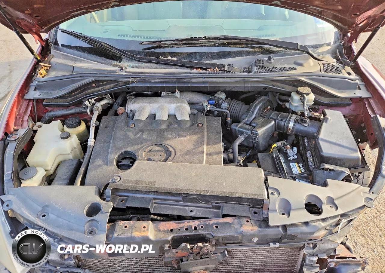 2006 Nissan Murano S VIN:JN8AZ08W56W501768 - 12