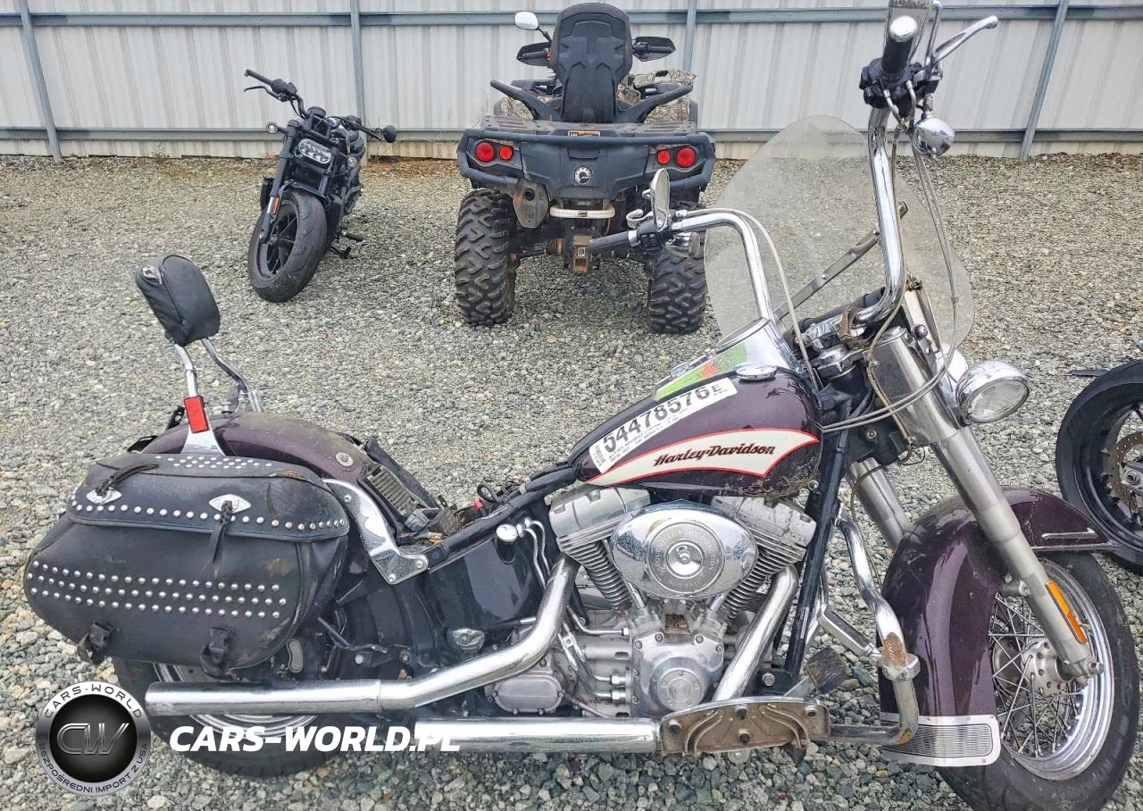 2006 Harley-Davidson Flsti