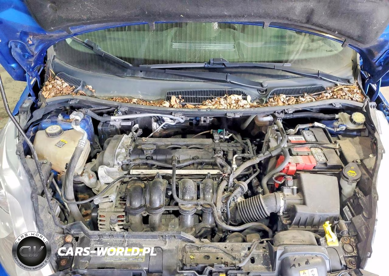 2011 Ford Fiesta Ses VIN:3FADP4FJ4BM196261 - 12