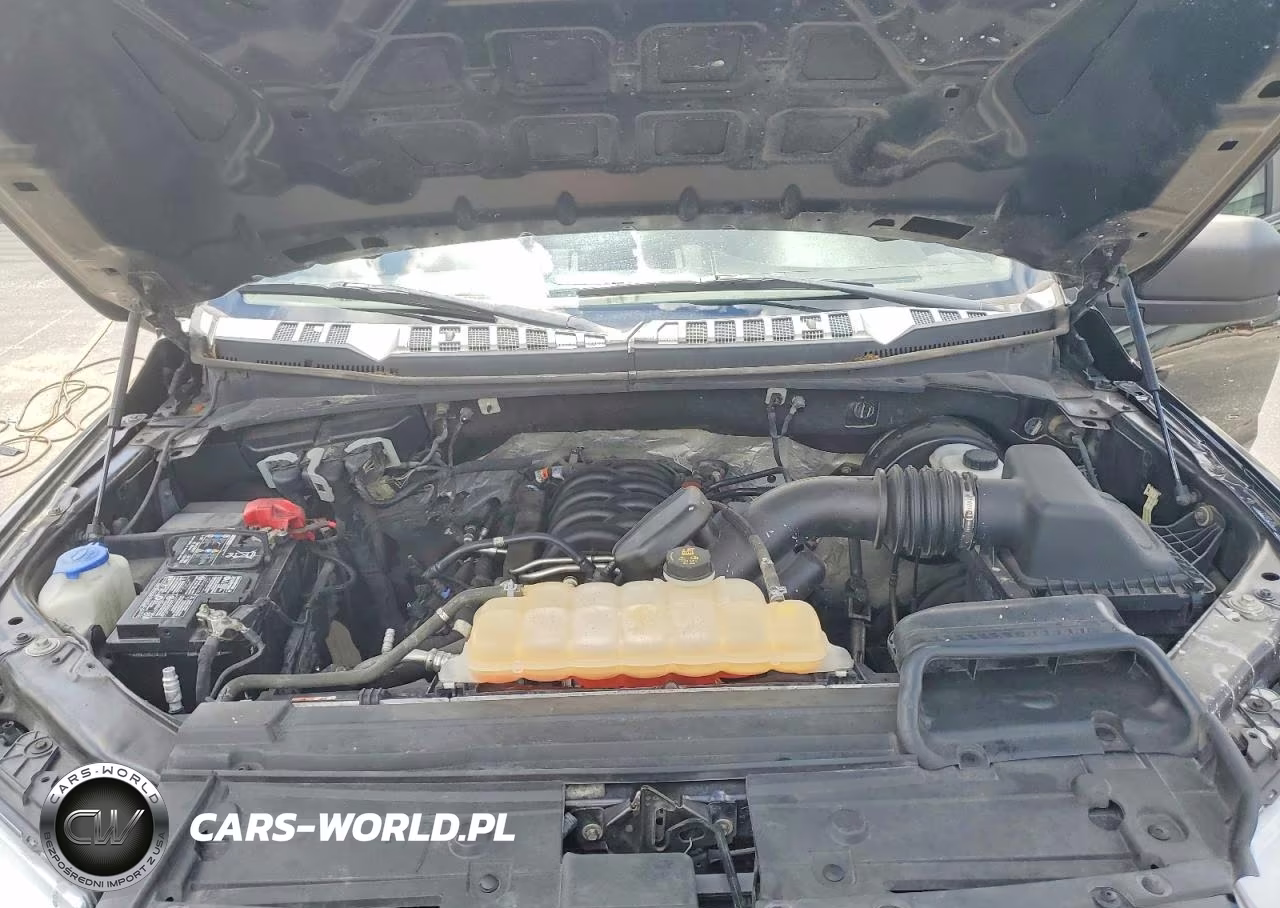 2019 Ford F150 Supercrew VIN:1FTEW1C57KKC20597 - 11