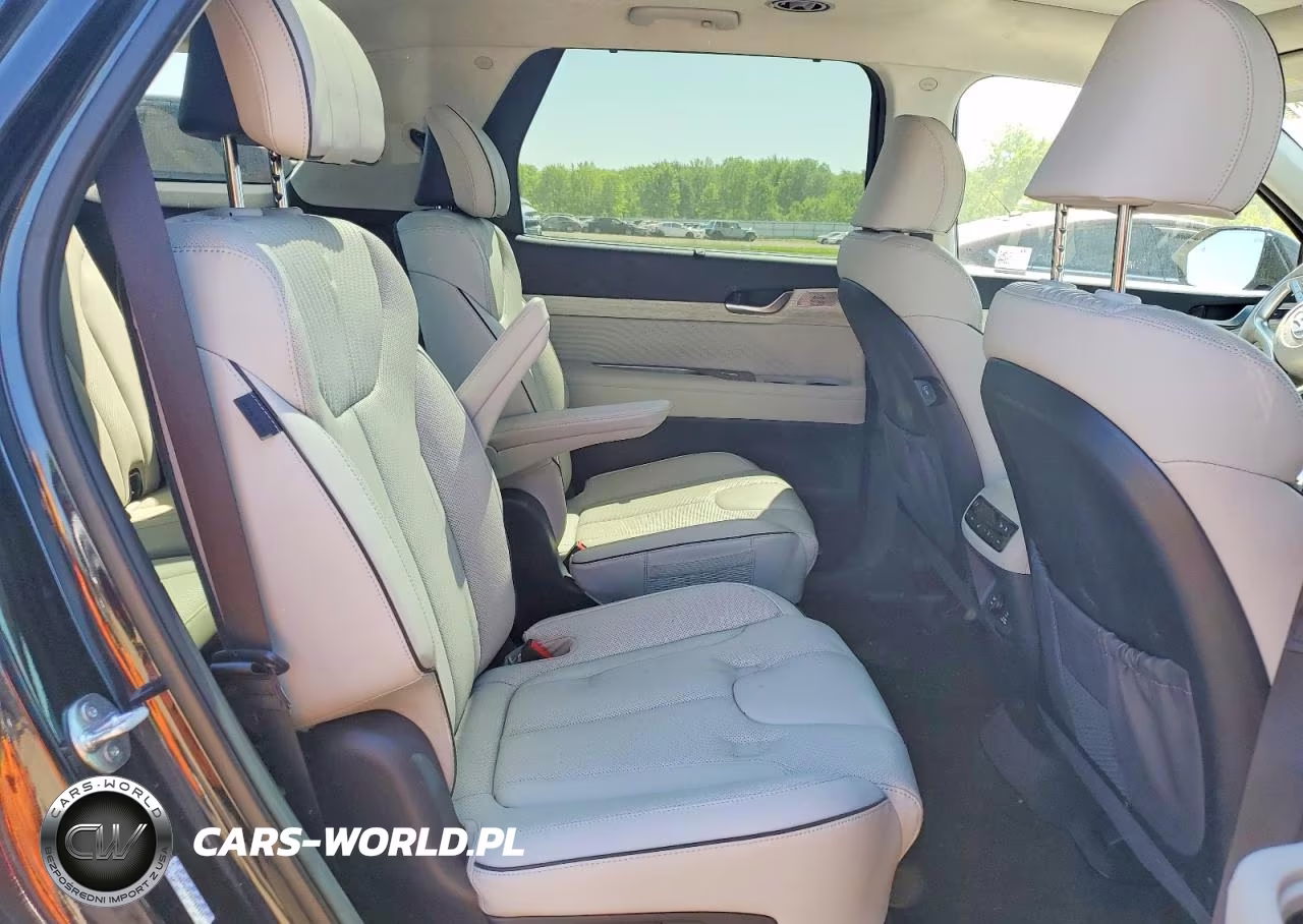 2024 Hyundai Palisade Calligraphy VIN:KM8R7DGE2RU760444 - 11