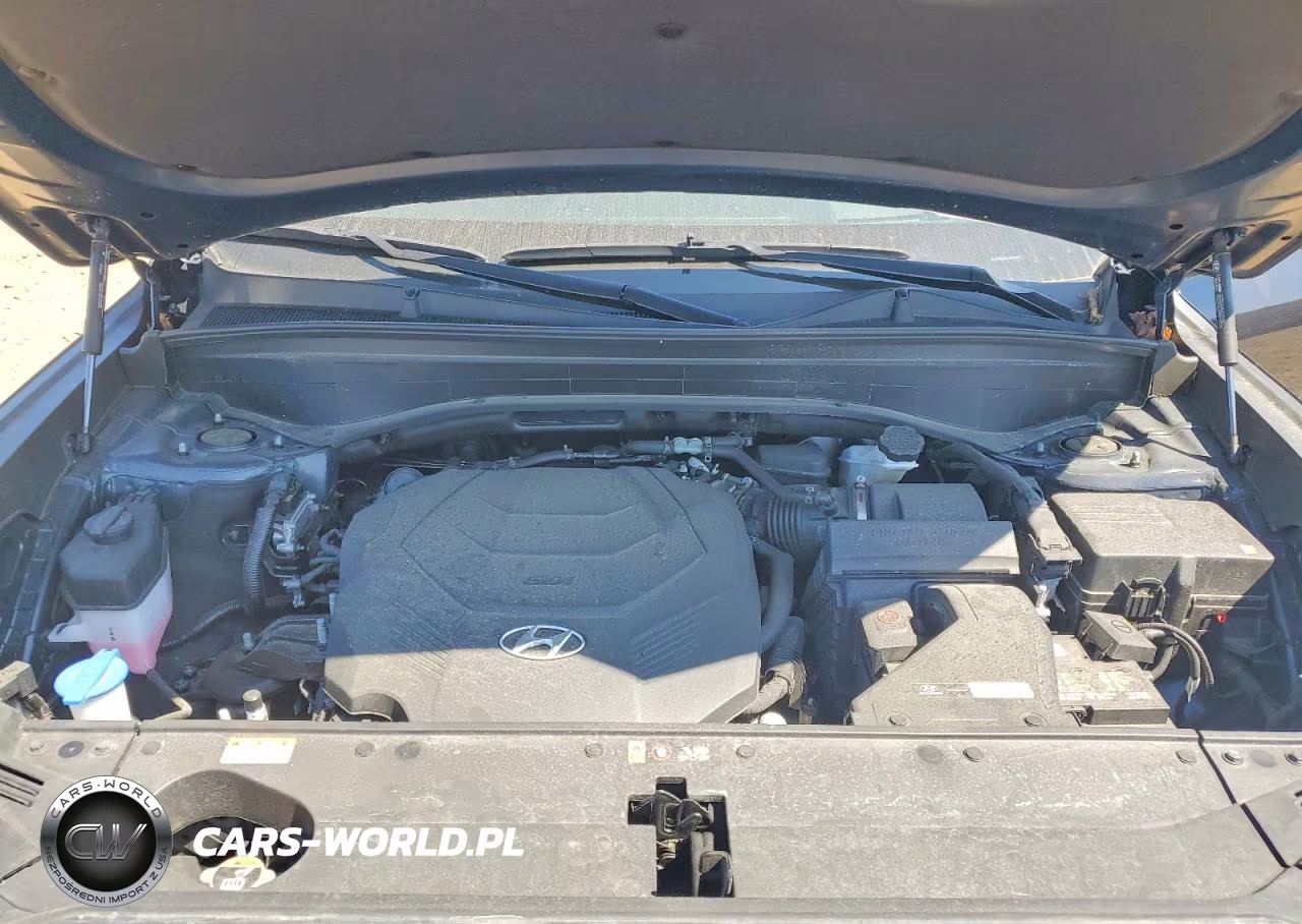 2024 Hyundai Palisade Calligraphy VIN:KM8R7DGE2RU760444 - 12