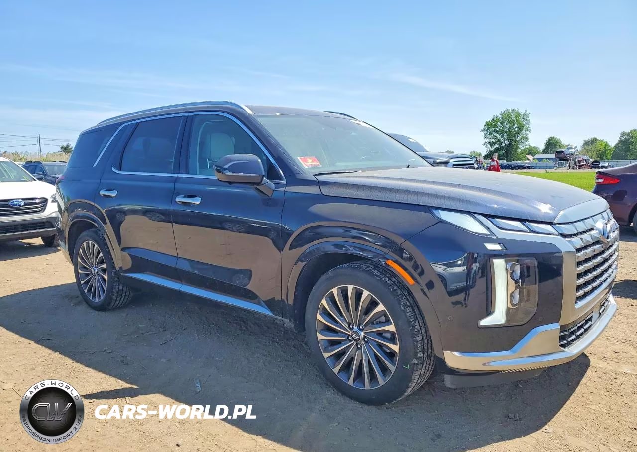 2024 Hyundai Palisade Calligraphy VIN:KM8R7DGE2RU760444 - 4
