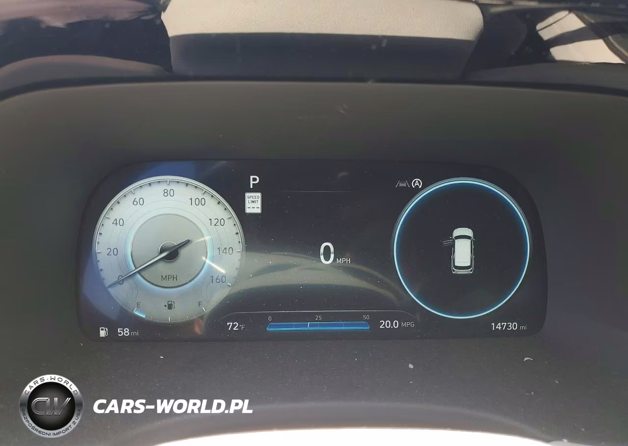 2024 Hyundai Palisade Calligraphy VIN:KM8R7DGE2RU760444 - 9