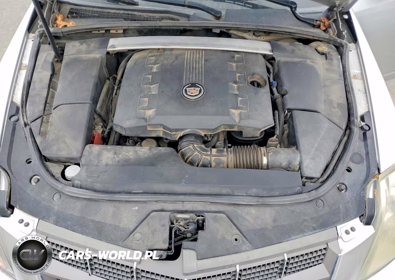 2010 Cadillac Cts Luxury VIN:1G6DE5EG6A0137275 - 11