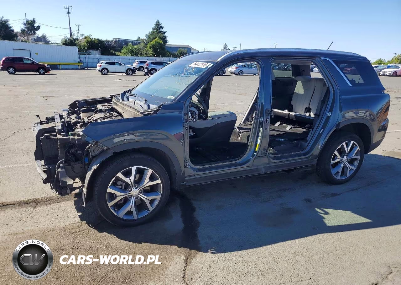 2020 Hyundai Palisade Sel