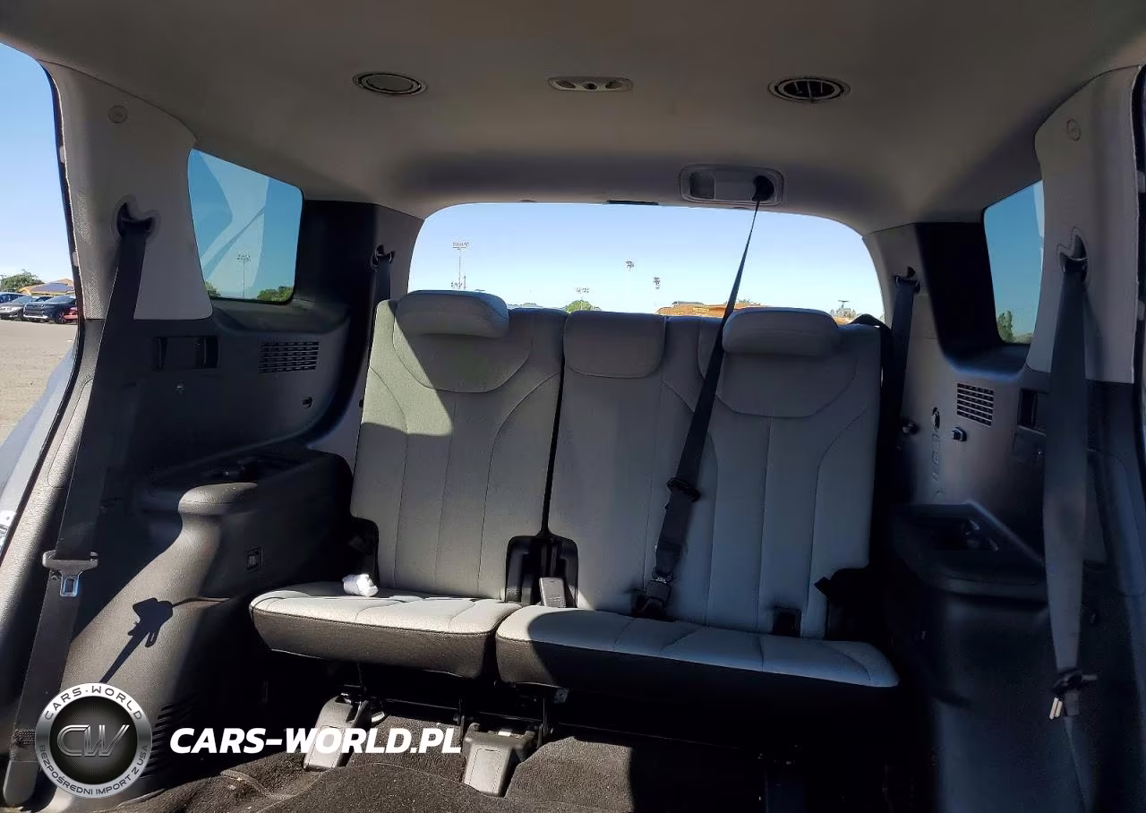 2020 Hyundai Palisade Sel VIN:KM8R34HEXLU132245 - 10