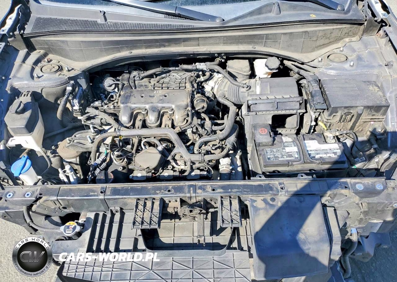 2020 Hyundai Palisade Sel VIN:KM8R34HEXLU132245 - 12