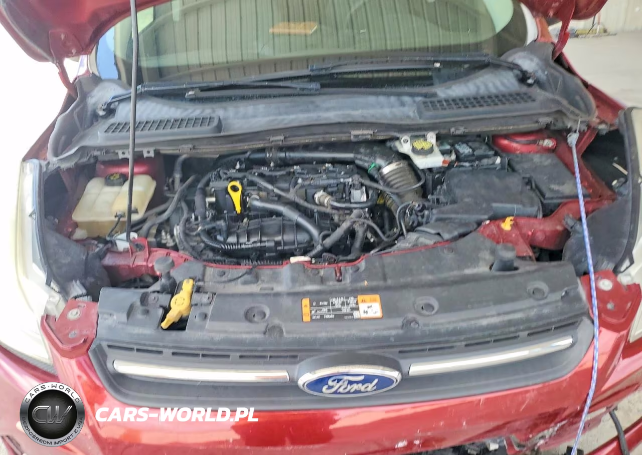2016 Ford Escape Se VIN:1FMCU0GX1GUA61232 - 12