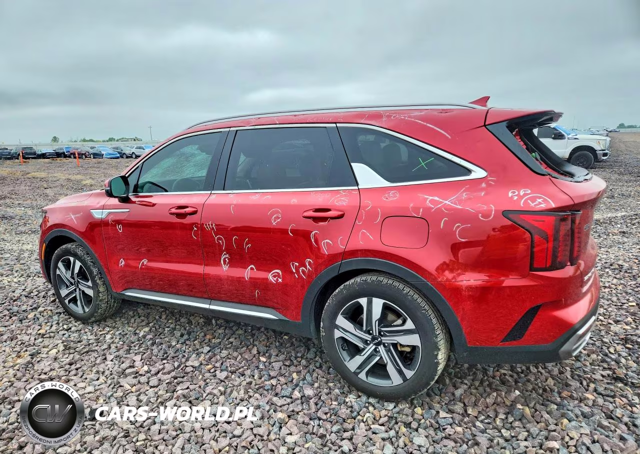 2023 Kia Sorento Ex VIN:KNDRHDLG3P5213389 - 2