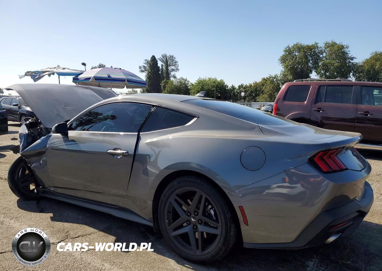2024 Ford Mustang VIN:1FA6P8TH2R5129157 - 2