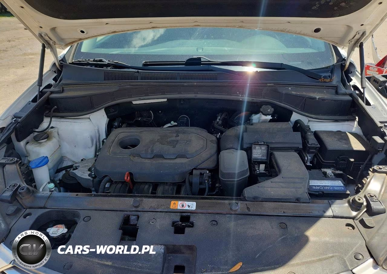 2018 Hyundai Santa Fe Sport 2.4L VIN:5XYZU3LB4JG541574 - 12