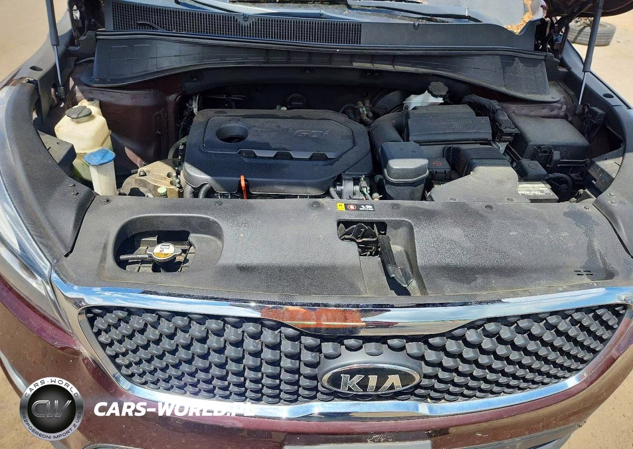2017 Kia Sorento Lx VIN:5XYPGDA33HG324852 - 12