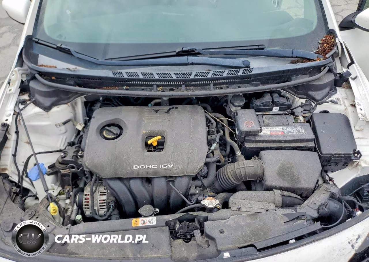 2017 Kia Forte Lx VIN:3KPFK4A7XHE075136 - 11