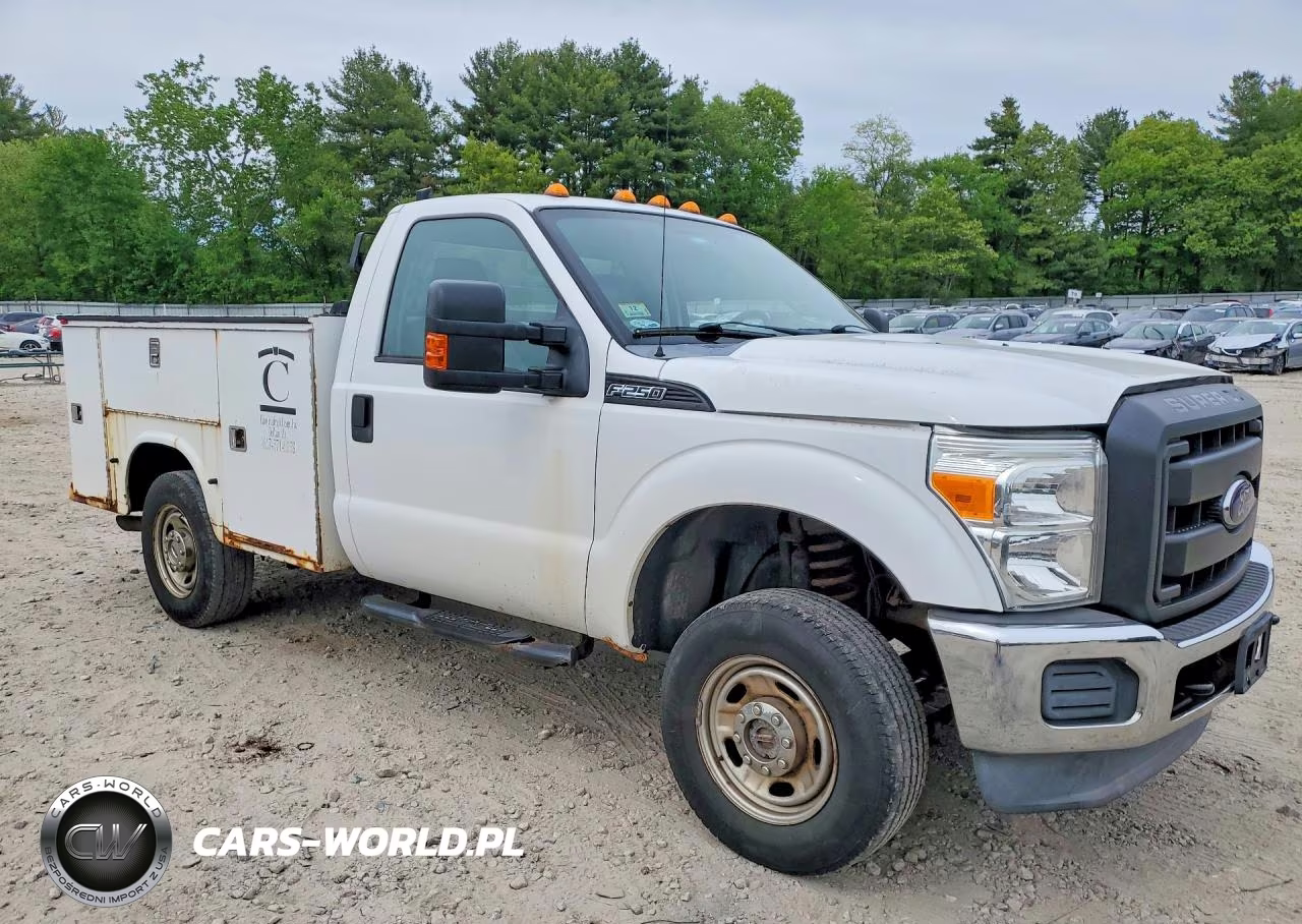 2012 Ford F250 Super Duty VIN:1FDBF2B63CEA89666 - 4