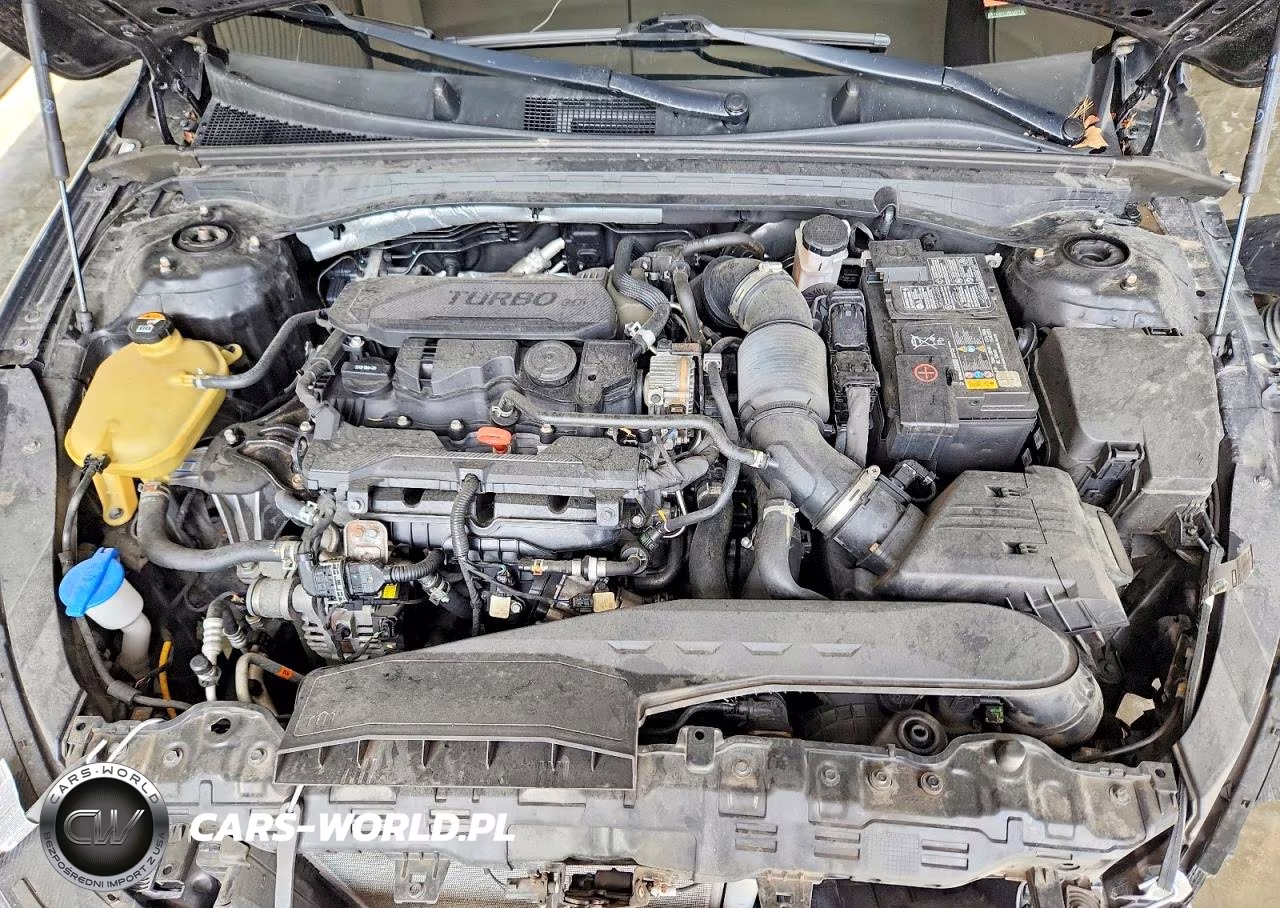 KIA K5 VIN:5XXG34J26MG031786 - 11