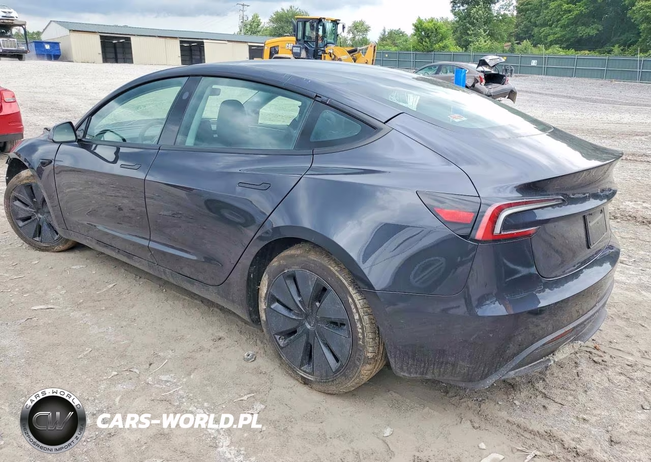 2025 Tesla Model 3 VIN:5YJ3E1EA8SF065124 - 2