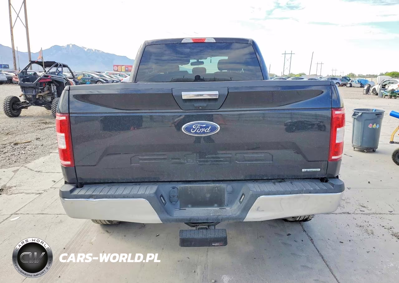 2020 Ford F150 Supercrew VIN:1FTFW1E43LFA42562 - 6