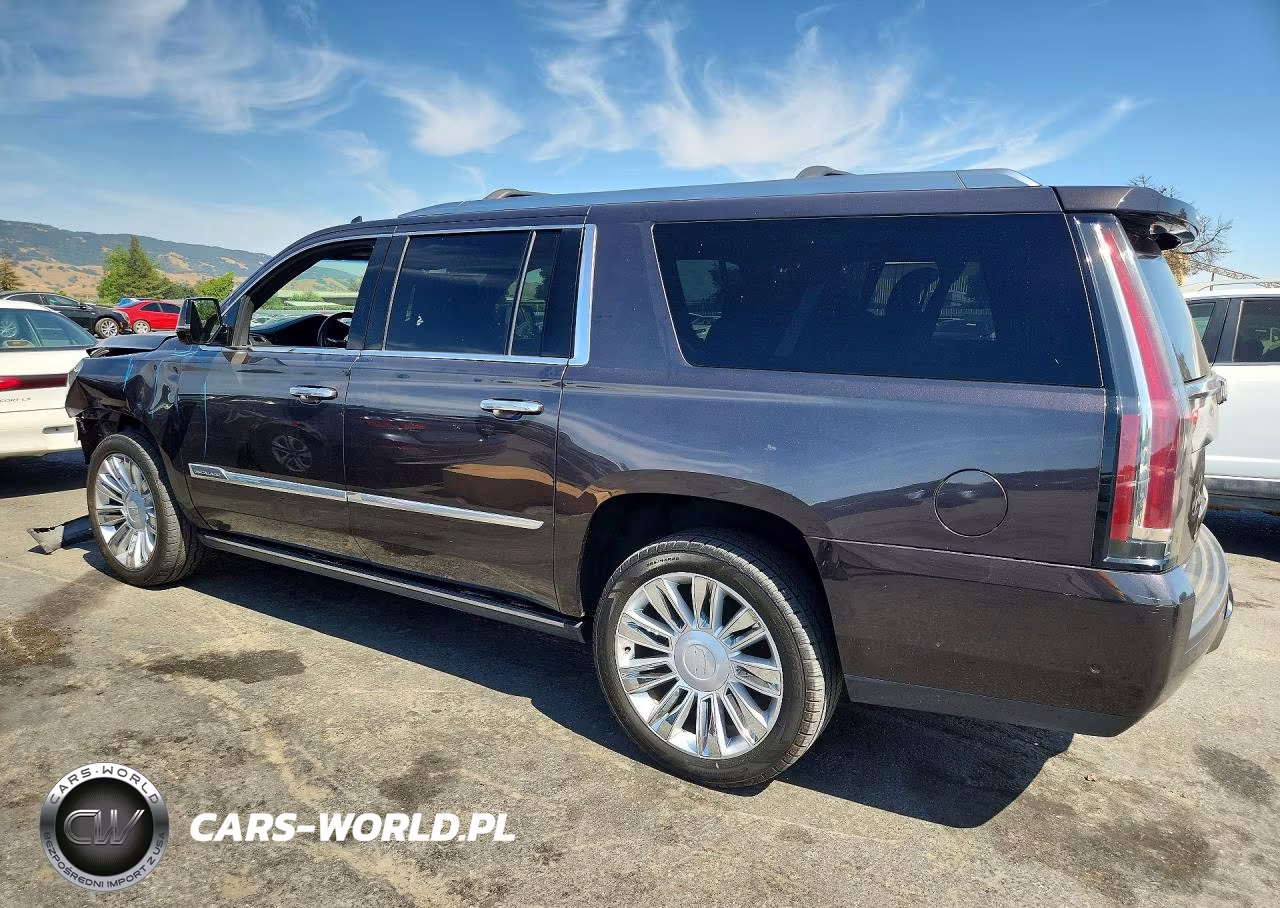 2017 Cadillac Escalade Esv Platinum VIN:1GYS4KKJ8HR144203 - 2