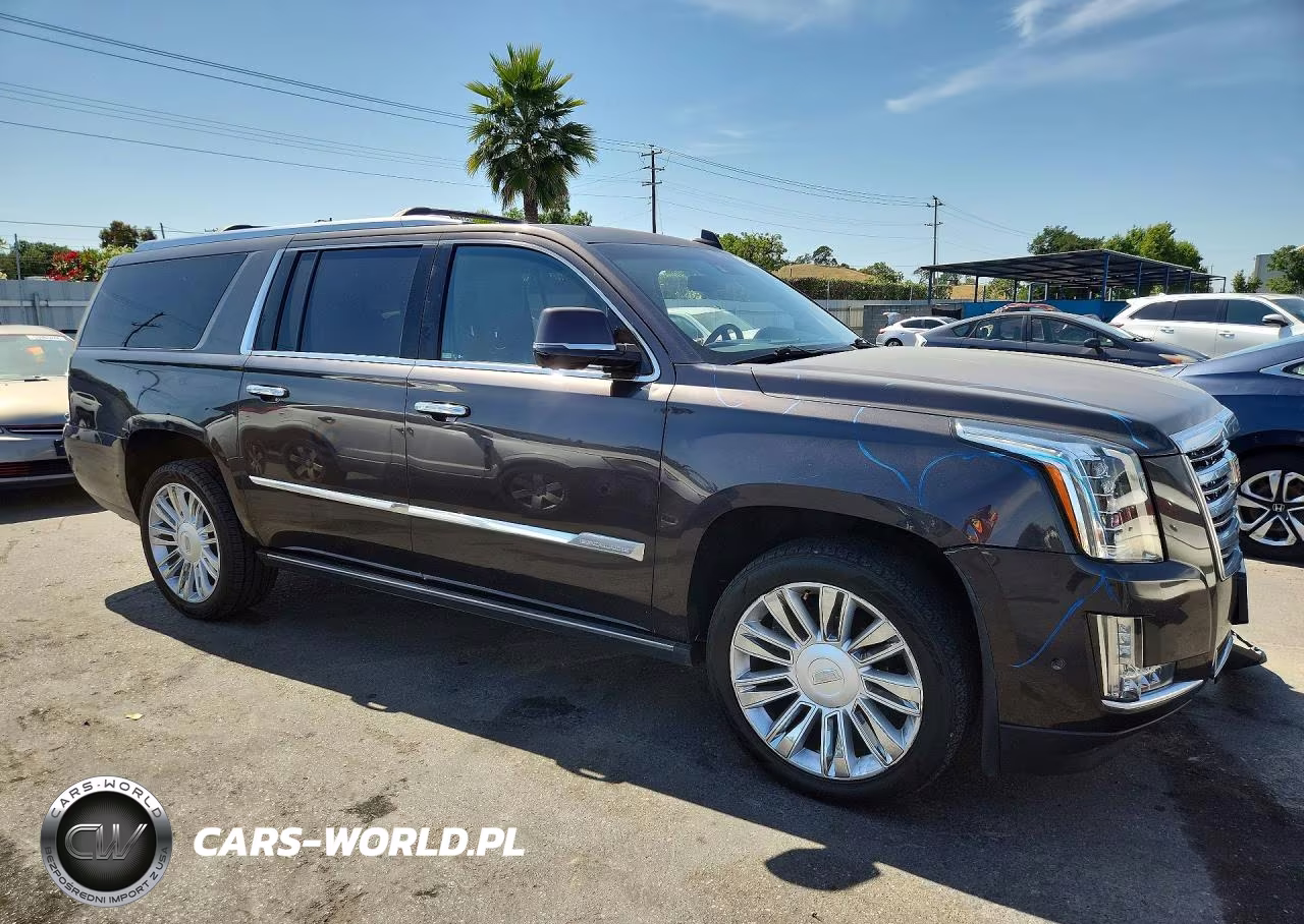 2017 Cadillac Escalade Esv Platinum VIN:1GYS4KKJ8HR144203 - 4
