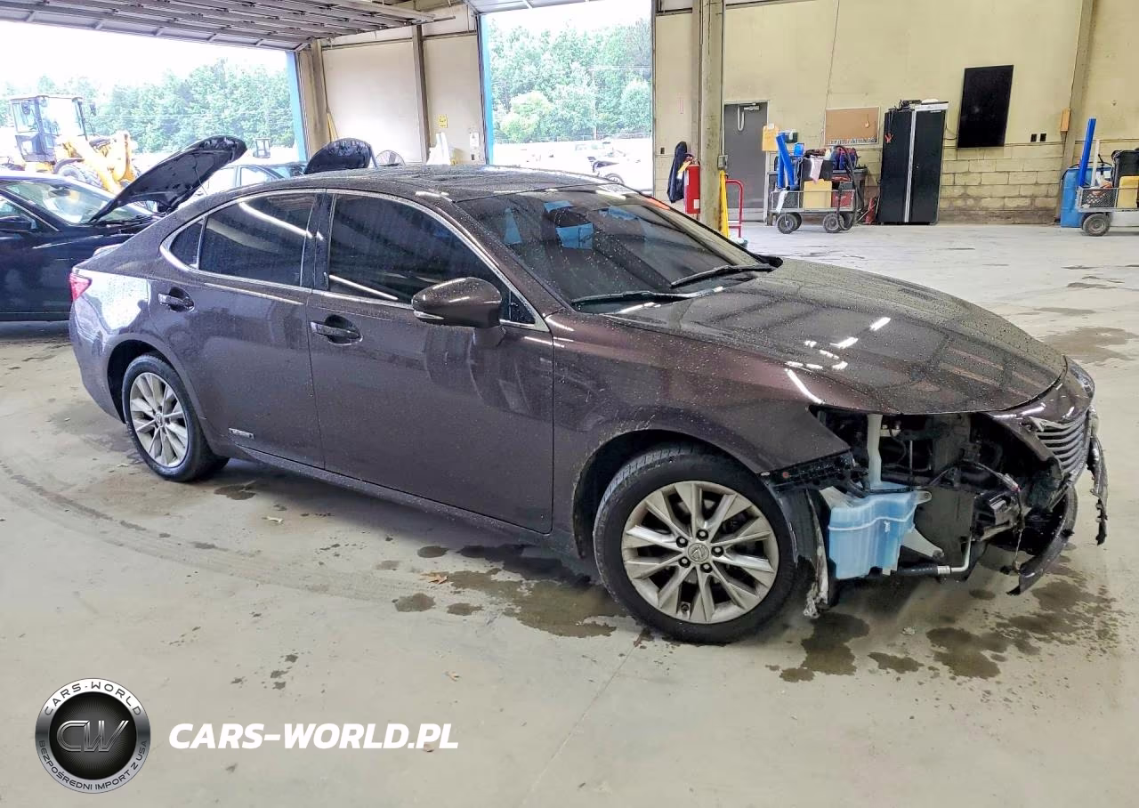 2013 Lexus Es 300H VIN:JTHBW1GG9D2037895 - 4