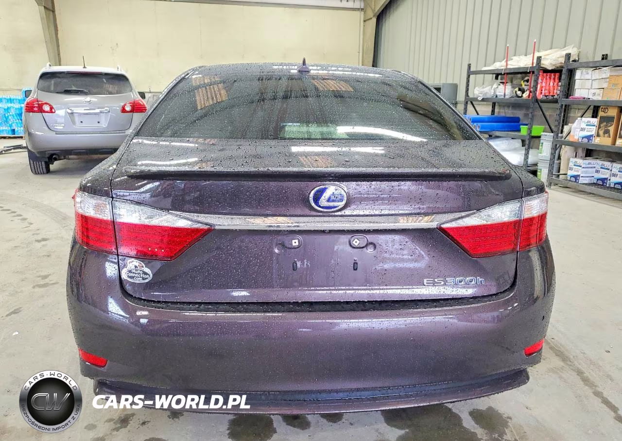 2013 Lexus Es 300H VIN:JTHBW1GG9D2037895 - 6
