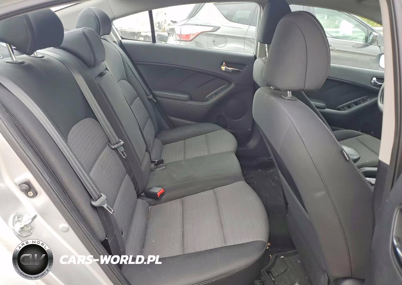 2014 Kia Forte Lx VIN:KNAFX4A66E5063322 - 10