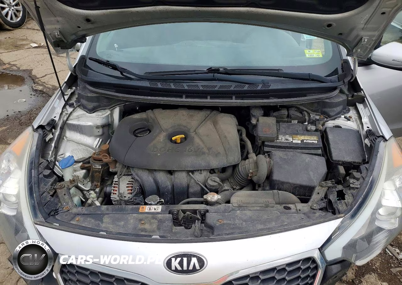 2014 Kia Forte Lx VIN:KNAFX4A66E5063322 - 11